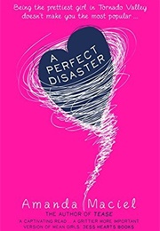A Perfect Disaster (Amanda Maciel)
