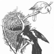 The Magpie's Nest