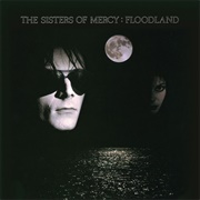 Floodland (The Sisters of Mercy, 1987)