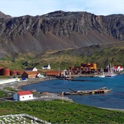 South Georgia and the South Sandwich Islands (United Kingdom Territory)