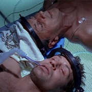 The Sixth Extinction II