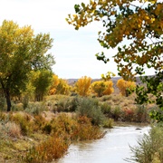 Walker River State Recreation Area, Nevada