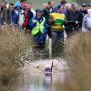 World Bog Snorkelling Championships