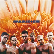 Herzeleid (Rammstein, 1995)