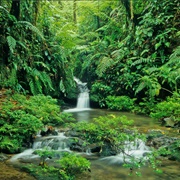 Braulio Carrillo National Park, Costa Rica