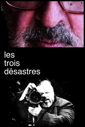 3×3D : Les Trois Désastres (2013)