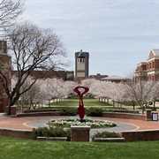 Western Kentucky University