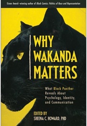 Why Wakanda Matters (Sheena C. Howard)