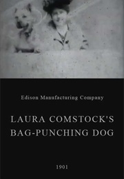 Laura Comstock's Bag-Punching Dog (1901)