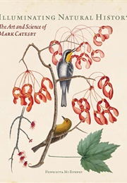 Illuminating Natural History: The Art and Science of Mark Catesby (Henrietta McBurney)