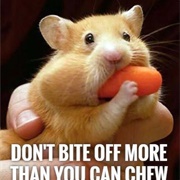 Biting off More Than You Can Chew