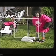 1992 PG Tips Chimps Home Video Advert