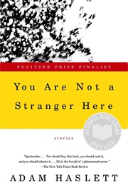 You Are Not a Stranger Here: Stories (Adam Haslett)