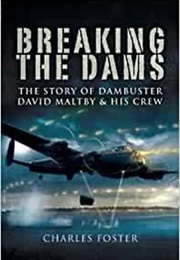 Breaking the Dams (Charles Foster)