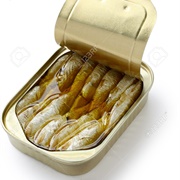 Canned Sardines in Oil