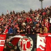Ultras Piacenza