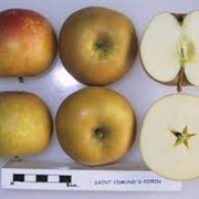 St. Edmund's Russet