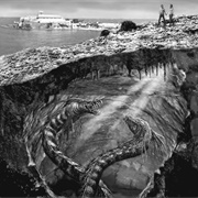 L-Ghageb Tad-Dragunara