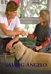 Saving Angelo (2007)