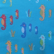 Seahorses