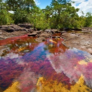 Cano Cristales, Colombia