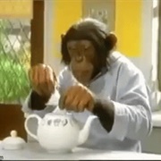 1997 PG Tips Chimps Papas Got a Brand New Pyramid Bag Advert