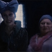 Aunt Sponge and Aunt Spiker