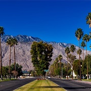 Palms Springs