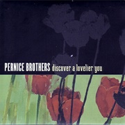 Amazing Glow - Pernice Brothers