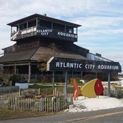 Atlantic City Aquarium