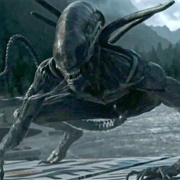 Protomorph - Alien Covenant