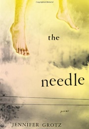 The Needle (Jennifer Grotz)
