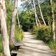 Haw River State Park