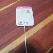 Pre-Cruise At-Home Covid Test