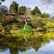 Japanese Tea Garden
