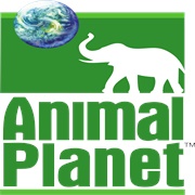 Animal Planet