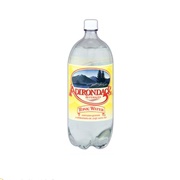 Adirondack Tonic Water