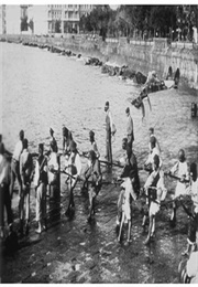 Levée Des Filets De Pêche (1896)