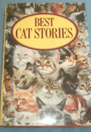 Best Cat Stories (Lesley O'Mara, Ed.)