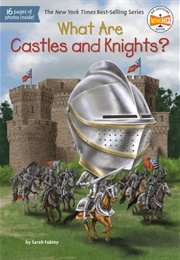 What Are Castles and Knights? (Sarah Fabiny)