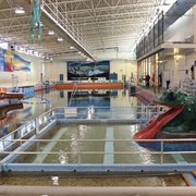 Evans Plunge in Hot Springs, SD