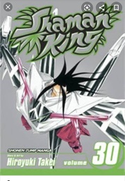 Shaman King Volume 30 (Hiroyuki Takei)