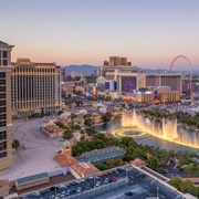 Stay Up All Night in a Big City