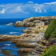 Hermanus