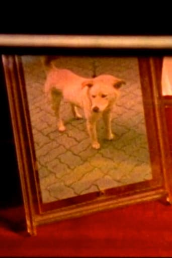 Memories in My Frame (1994)