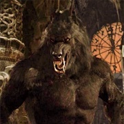 Werewolf - Van Helsing