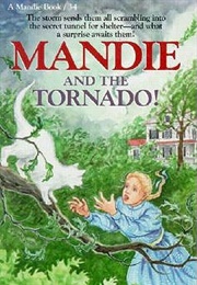 Mandie and the Tornado! (Lois Gladys Leppard)