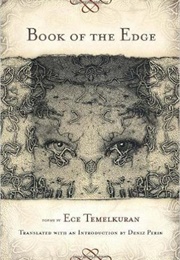 Book of the Edge (Ece Temelkuran)