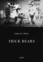 Trick Bears (1899)