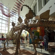 Science Museum of Minnesota